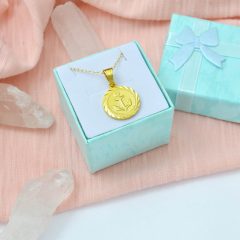 Verižica Sidro kovanec